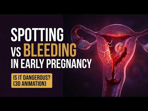 Spotting vs Bleeding in Early Pregnancy: Is It Dangerous? (3D Animation)