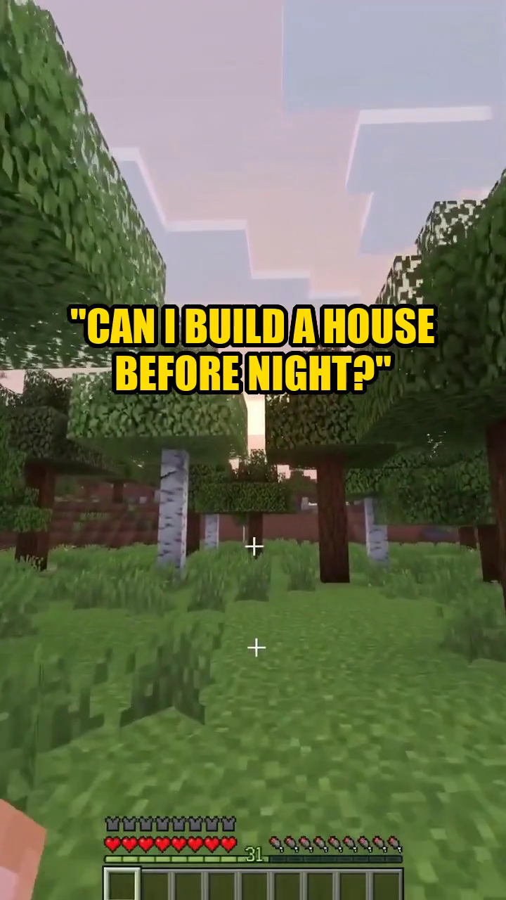 Minecraft Survival example